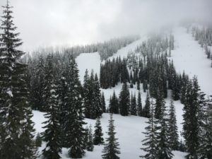 Mount Shasta Ski Park